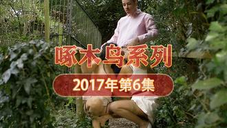 私處的慾望對話 啄木鸟17年系列-第6集