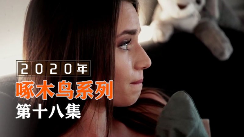 平面模特黑絲情趣誘惑啄木鸟20年系列-第18集